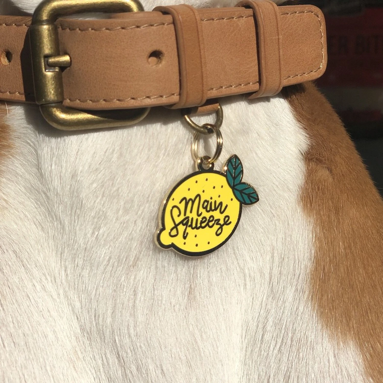Two Tails Pet Company Main Squeeze Personalized Dog & Cat ID Tag 5 Two Tails Pet Company Main Squeeze Personalized Dog & Cat ID Tag - Image 3