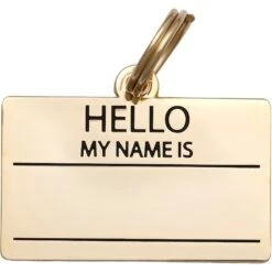 Two Tails Pet Company Hello My Name Personalized Dog & Cat ID Tag