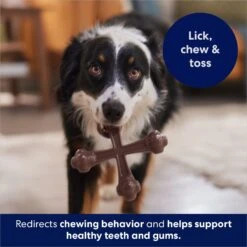 Frisco Bacon Flavor Tough Nylon Dog Chew Toy -Blue Buffalo Shop 213430 PT5. AC SS1800 V1691783968