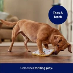 Frisco Frosted Pastry Stuffing-Free Flat Plush Squeaky Dog Toy 12 Frisco Frosted Pastry Stuffing-Free Flat Plush Squeaky Dog Toy -Blue Buffalo Shop 213812 PT5. AC SS1800 V1686579088