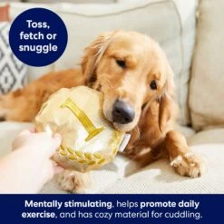 Frisco Gold Medal Round Plush Squeaky Dog Toy 9 Frisco Gold Medal Round Plush Squeaky Dog Toy -Blue Buffalo Shop 214082 PT6. AC SS1800 V1679069984