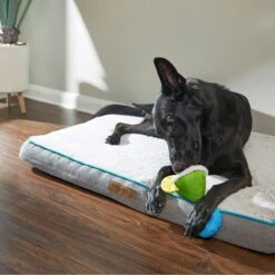 Frisco Summer Fun Margarita Plush & Rope Dog Toy -Blue Buffalo Shop 214679 PT6. AC SS1800 V1597596393