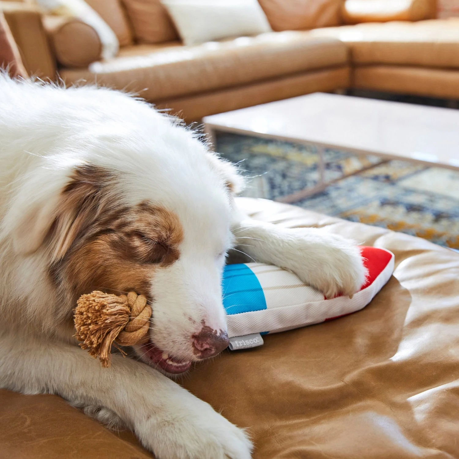 Frisco Summer Fun Plush & Rope Popsicle Dog Toy 5 Frisco Summer Fun Plush & Rope Popsicle Dog Toy - Image 3