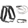PetSafe 3-in-1 Reflective Dog Harness & Leash -Blue Buffalo Shop 214717 MAIN. AC SS1800 V1660238312