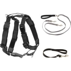 PetSafe 3-in-1 Reflective Dog Harness & Leash