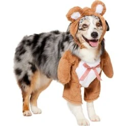 Frisco Front Walking Teddy Bear Dog & Cat Costume -Blue Buffalo Shop 215507 PT3. AC SS1800 V1624402415