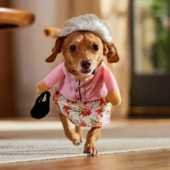 Frisco Front Walking Granny Dog & Cat Costume 19 Frisco Front Walking Granny Dog & Cat Costume -Blue Buffalo Shop 215577 PT8. AC SS1800 V1689621333