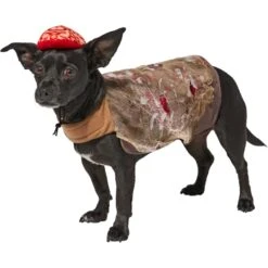 Frisco Zombie Dog & Cat Costume