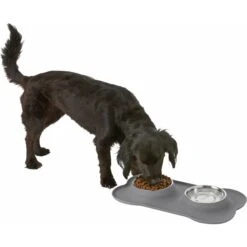 Frisco Silicone Stainless Steel Double Diner Dog & Cat Bowl -Blue Buffalo Shop 215990 PT5. AC SS1800 V1605662218