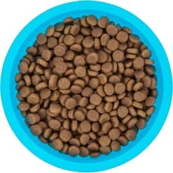 Frisco Plastic Suction Bowl, Blue 14 Frisco Plastic Suction Bowl, Blue -Blue Buffalo Shop 216037 PT4. AC SS1800 V1591020655