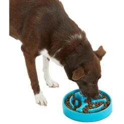 Frisco Bone Shaped Ridges Slow Feed Bowl -Blue Buffalo Shop 216041 PT6. AC SS1800 V1605664049