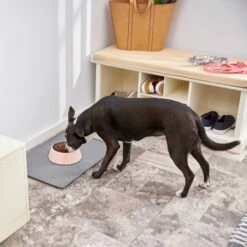 Frisco Southwest Melamine Bowl -Blue Buffalo Shop 216064 PT7. AC SS1800 V1605653262