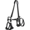 Frisco Front & Rear Lift Handicapped Support Dog Harness -Blue Buffalo Shop 220372 MAIN. AC SS1800 V1596501363