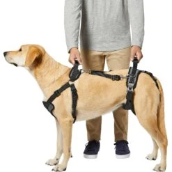 Frisco Front & Rear Lift Handicapped Support Dog Harness 11 Frisco Front & Rear Lift Handicapped Support Dog Harness -Blue Buffalo Shop 220372 PT5. AC SS1800 V1605749597