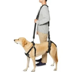 Frisco Front & Rear Lift Handicapped Support Dog Harness 12 Frisco Front & Rear Lift Handicapped Support Dog Harness -Blue Buffalo Shop 220372 PT6. AC SS1800 V1605758261