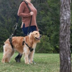 Frisco Front & Rear Lift Handicapped Support Dog Harness 13 Frisco Front & Rear Lift Handicapped Support Dog Harness -Blue Buffalo Shop 220372 PT7. AC SS1800 V1605738439