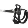 Frisco Rear Lift Handicapped Support Dog Harness