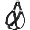 Frisco Nylon Step In Back Clip Dog Harness 1 Frisco Nylon Step In Back Clip Dog Harness -Blue Buffalo Shop 220519 MAIN. AC SS1800 V1699631311