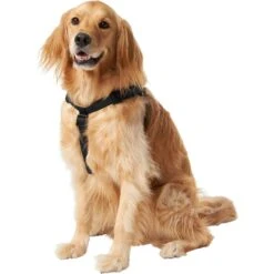 Frisco Nylon Step In Back Clip Dog Harness -Blue Buffalo Shop 220519 PT2. AC SS1800 V1605591714