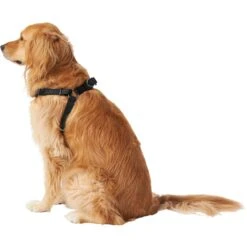 Frisco Nylon Step In Back Clip Dog Harness -Blue Buffalo Shop 220519 PT3. AC SS1800 V1605593555