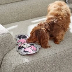 Disney Minnie Mouse Flat Plush Squeaky Dog Toy 7 Disney Minnie Mouse Flat Plush Squeaky Dog Toy -Blue Buffalo Shop 220805 PT2. AC SS1800 V1612364883