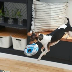 STAR WARS R2-D2 Round Plush Squeaky Dog Toy -Blue Buffalo Shop 220868 PT2. AC SS1800 V1612365557