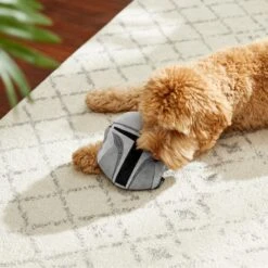 STAR WARS THE MANDALORIAN Round Plush Squeaky Dog Toy 7 STAR WARS THE MANDALORIAN Round Plush Squeaky Dog Toy -Blue Buffalo Shop 221045 PT2. AC SS1800 V1612365108