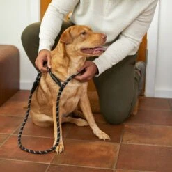 Frisco Reflective Rope Slip Lead Dog Leash -Blue Buffalo Shop 221212 PT4. AC SS1800 V1699388234