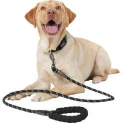 Frisco Rope Dog Leash With Padded Handle 11 Frisco Rope Dog Leash With Padded Handle -Blue Buffalo Shop 221218 PT3. AC SS1800 V1701796765
