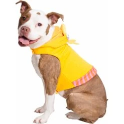 Pet Krewe Big Bird Dog & Cat Costume -Blue Buffalo Shop 223177 PT6. AC SS1800 V1599263770