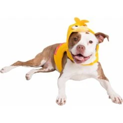 Pet Krewe Big Bird Dog & Cat Costume -Blue Buffalo Shop 223177 PT8. AC SS1800 V1599267996