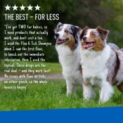 Adams® Adams Flea & Tick Spot Treatment For Dogs, 31-60 Lbs 15 Adams® Adams Flea & Tick Spot Treatment For Dogs, 31-60 Lbs -Blue Buffalo Shop 224451 PT6. AC SS1800 V1658807768