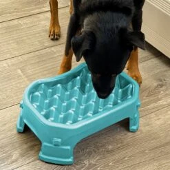 Neater Pets Adjustable Non-Skid Plastic Slow Feeder Dog & Cat Bowl -Blue Buffalo Shop 224731 pt7. AC SS1800 V1583446149