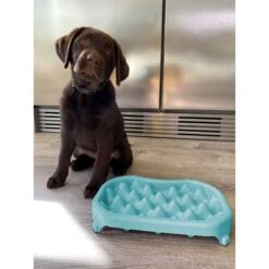 Neater Pets Adjustable Non-Skid Plastic Slow Feeder Dog & Cat Bowl -Blue Buffalo Shop 224731 pt8. AC SS1800 V1583446114