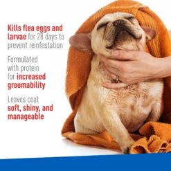 Adams® Adams Plus Flea & Tick Aloe & Cucumber Scent Sensitive Skin Foaming Dog Shampoo, 10-oz Bottle 14 Adams® Adams Plus Flea & Tick Aloe & Cucumber Scent Sensitive Skin Foaming Dog Shampoo, 10-oz Bottle -Blue Buffalo Shop 226148 PT3. AC SS1800 V1679080844