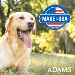 Adams® Adams Plus Flea & Tick Aloe & Cucumber Scent Sensitive Skin Foaming Dog Shampoo, 10-oz Bottle 19 Adams® Adams Plus Flea & Tick Aloe & Cucumber Scent Sensitive Skin Foaming Dog Shampoo, 10-oz Bottle -Blue Buffalo Shop 226148 PT8. AC SS1800 V1658885566