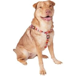 Disney Minnie Mouse Floral Dog Harness -Blue Buffalo Shop 226360 PT2. AC SS1800 V1613419879