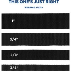 Disney Minnie Mouse Floral Dog Harness -Blue Buffalo Shop 226360 PT4. AC SS1800 V1642111366