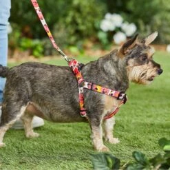 Disney Minnie Mouse Floral Dog Harness -Blue Buffalo Shop 226360 PT5. AC SS1800 V1642111303