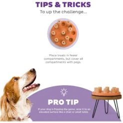 Nina Ottosson By Outward Hound Dog Smart Composite Dog Toy -Blue Buffalo Shop 226720 PT3. AC SS1800 V1694439632