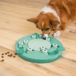 Nina Ottosson By Outward Hound Dog Worker Green Interactive Treat Puzzle Dog Toy -Blue Buffalo Shop 226722 PT4. AC SS1800 V1694286039