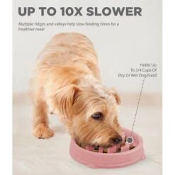 Outward Hound Non-Skid Plastic Slow Feeder Wave Dog Bowl 13 Outward Hound Non-Skid Plastic Slow Feeder Wave Dog Bowl -Blue Buffalo Shop 226749 PT2. AC SS1800 V1694286101