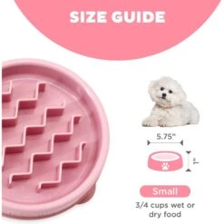 Outward Hound Non-Skid Plastic Slow Feeder Wave Dog Bowl 15 Outward Hound Non-Skid Plastic Slow Feeder Wave Dog Bowl -Blue Buffalo Shop 226749 PT4. AC SS1800 V1694286655