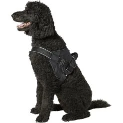 Frisco Big Dog Harness 13 Frisco Big Dog Harness -Blue Buffalo Shop 227877 PT4. AC SS1800 V1600307761