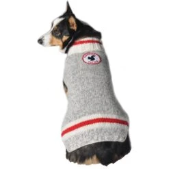 Chilly Dog Squirrel Patrol Wool Dog Sweater