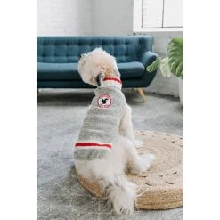 Chilly Dog Squirrel Patrol Wool Dog Sweater -Blue Buffalo Shop 228340 PT3. AC SS1800 V1595887896