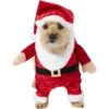 Frisco Front Walking Santa Dog & Cat Costume, 1 Count 1 Frisco Front Walking Santa Dog & Cat Costume, 1 Count -Blue Buffalo Shop 228785 MAIN. AC SS1800 V1631300256