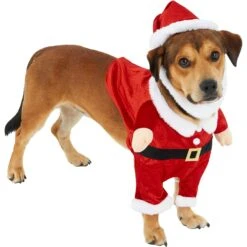 Frisco Front Walking Santa Dog & Cat Costume, 1 Count 11 Frisco Front Walking Santa Dog & Cat Costume, 1 Count -Blue Buffalo Shop 228785 PT3. AC SS1800 V1631300866