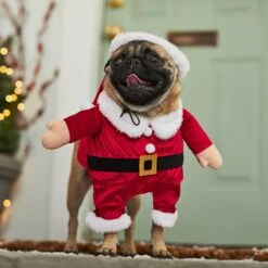 Frisco Front Walking Santa Dog & Cat Costume, 1 Count 14 Frisco Front Walking Santa Dog & Cat Costume, 1 Count -Blue Buffalo Shop 228785 PT7. AC SS1800 V1601560869