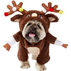 Frisco Front Walking Reindeer Dog & Cat Costume, 1 Count 13 Frisco Front Walking Reindeer Dog & Cat Costume, 1 Count -Blue Buffalo Shop 228790 PT2. AC SS1800 V1636731101